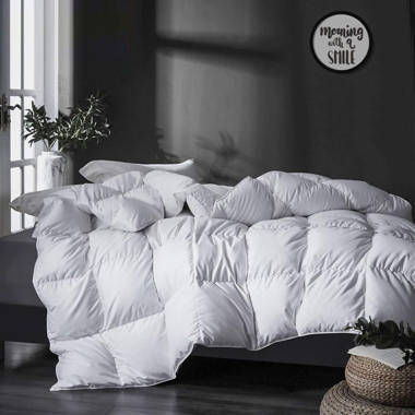 Alwyn Home 750in³/oz Fill Power All Season Goose Down Comforter